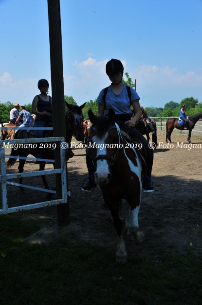 DSC_7619.JPG